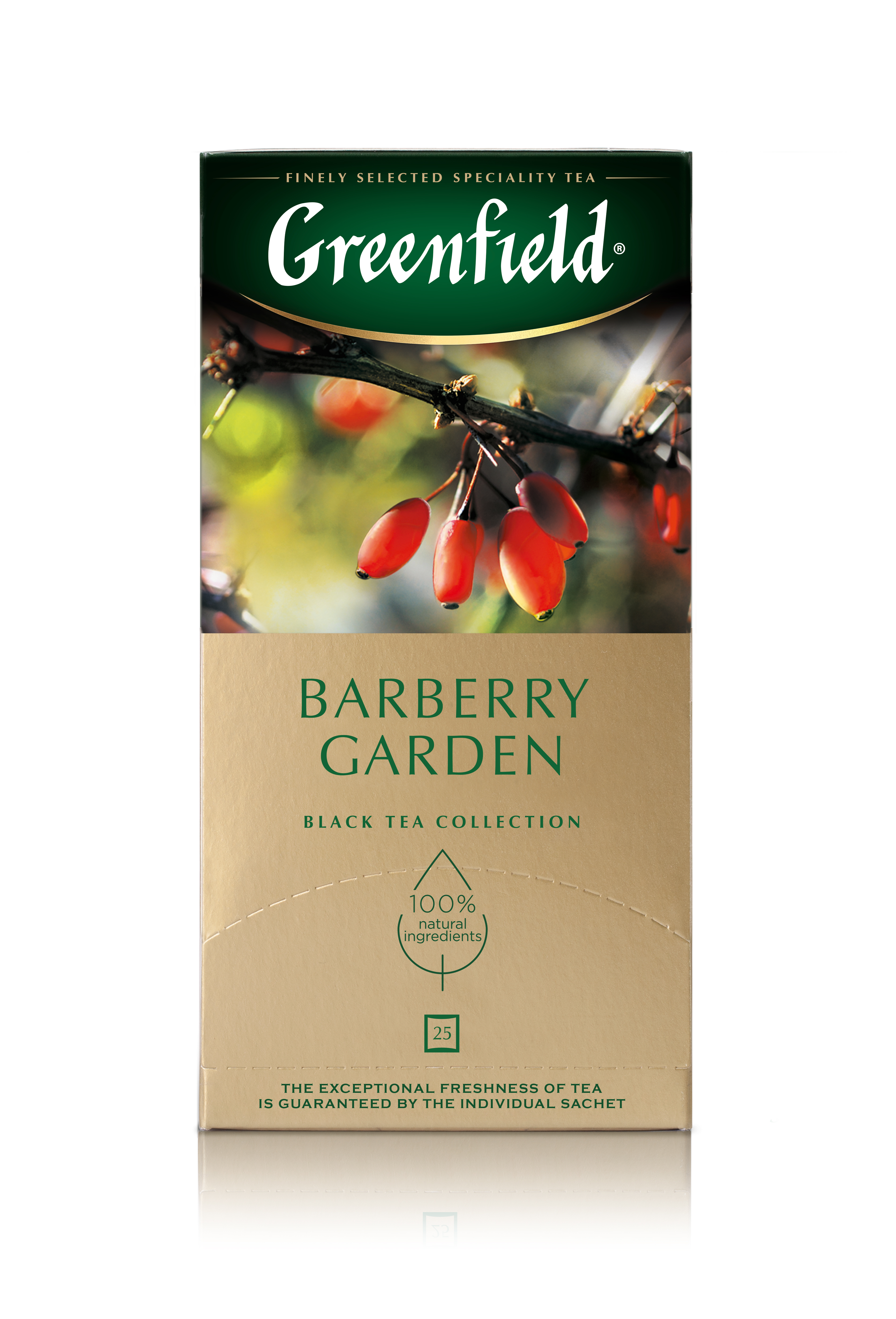 GREENFIELD Barberry Garden 25