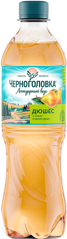 0,5L_ПЭТ_Dushes 5