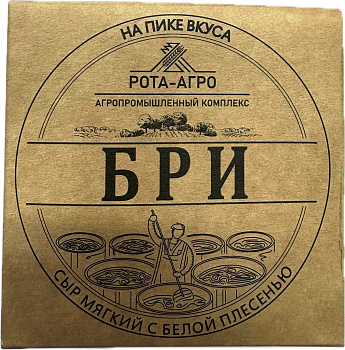 Сыр (фас) Бри с белой плесенью 60% 125г/4шт "Рота-Агро" Россия